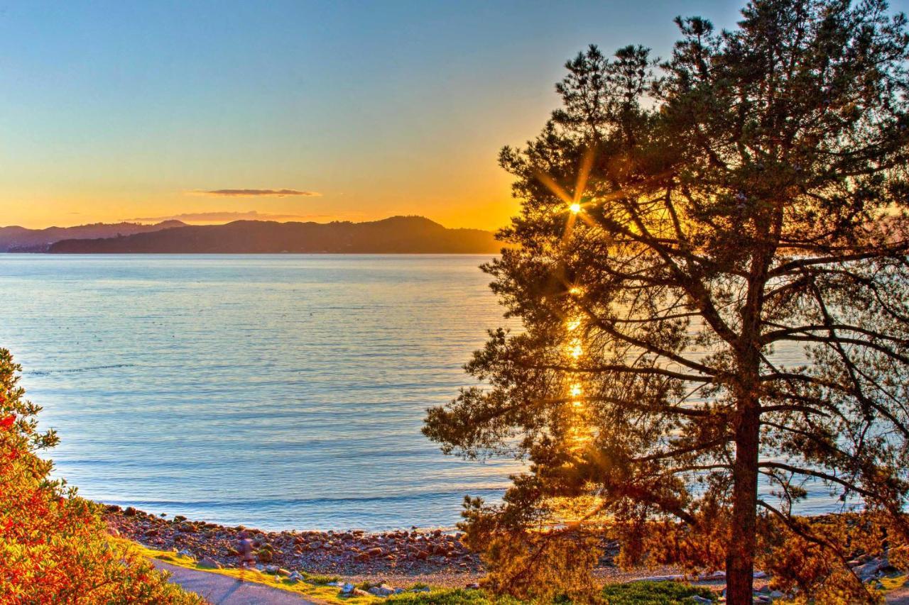 Luxury Studio With Hot Tub And San Francisco Bay Views Ричмонд Экстерьер фото