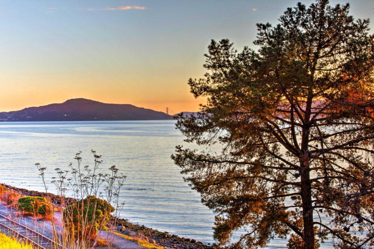 Luxury Studio With Hot Tub And San Francisco Bay Views Ричмонд Экстерьер фото